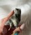IMG_0363.jpeg