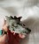 IMG_0364.jpeg