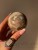 IMG_4070.jpeg