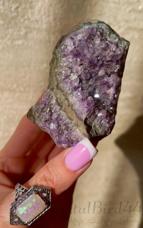 IMG_4137.jpeg