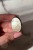 IMG_4464.jpeg