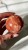 IMG_4476.jpeg