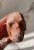 IMG_8878.jpeg