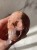 IMG_8874.jpeg