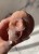 IMG_8875.jpeg