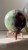 IMG_9488.jpeg