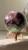 IMG_9487.jpeg