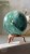 IMG_9478.jpeg
