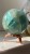IMG_9481.jpeg