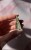 IMG_9549.jpeg