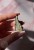 IMG_9548.jpeg