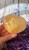 IMG_9776.jpeg