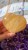 IMG_9777.jpeg