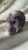IMG_9867.jpeg