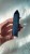IMG_9896.jpeg