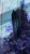 IMG_9898.jpeg