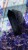 IMG_9899.jpeg