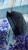 IMG_9900.jpeg