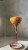 IMG_9922.jpeg