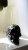 IMG_9981.jpeg