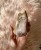 IMG_5114.jpeg